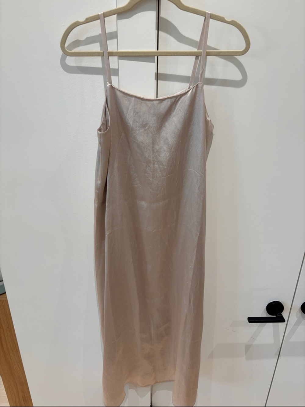 Everlane Pearlescent / Champagne Slip Dress
